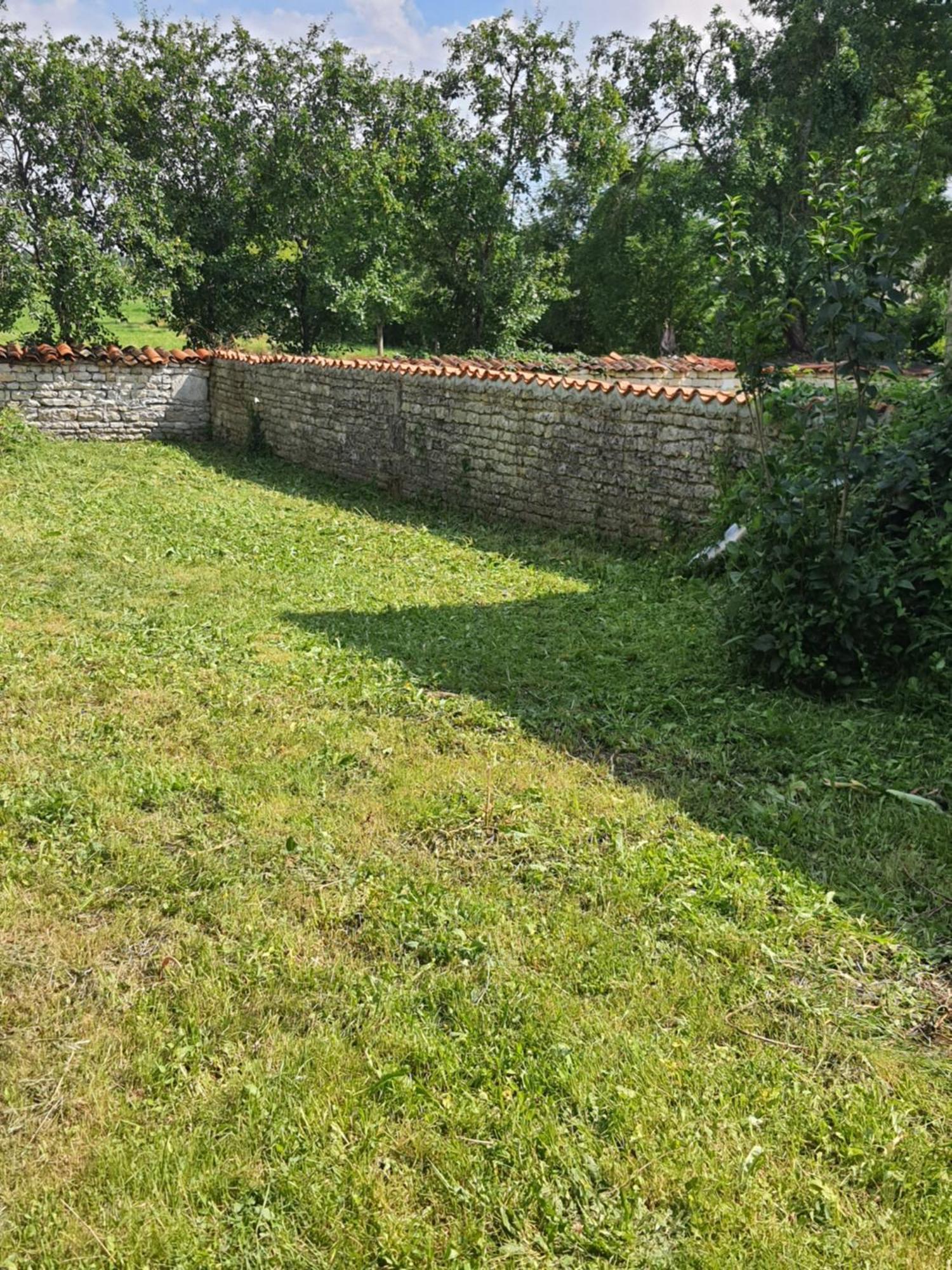 Domi Et Les Chats Barbezieres Εξωτερικό φωτογραφία